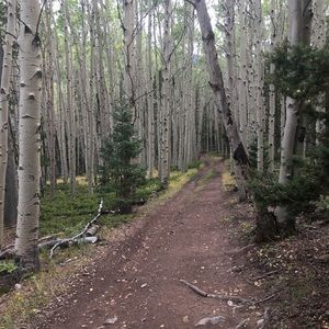 Meet your Posher, Cory